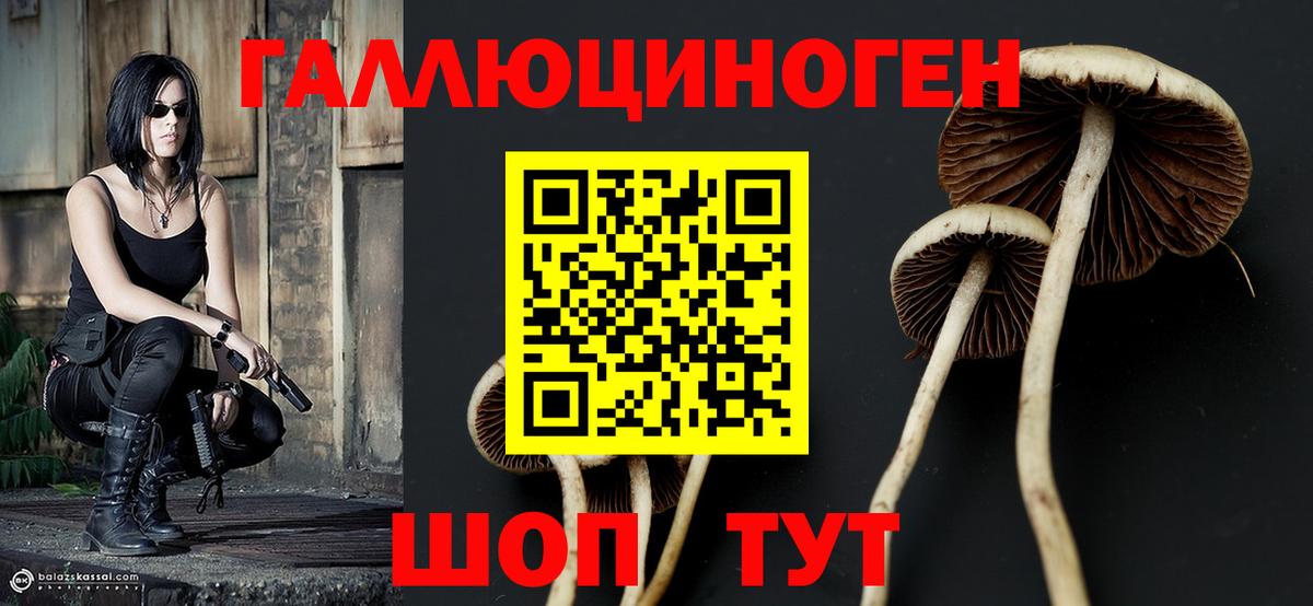 Галлюциногенные грибы Cubensis  Псилоцибиновые грибы GOLDEN TEACHER  Вход с VPN  Симферополь 