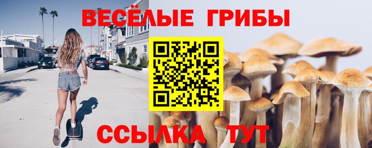 Псилоцибиновые грибы ЛСД Симферополь