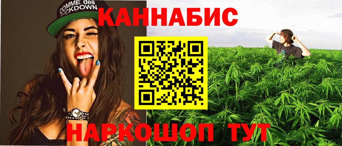 Бошки Шишки семена Симферополь